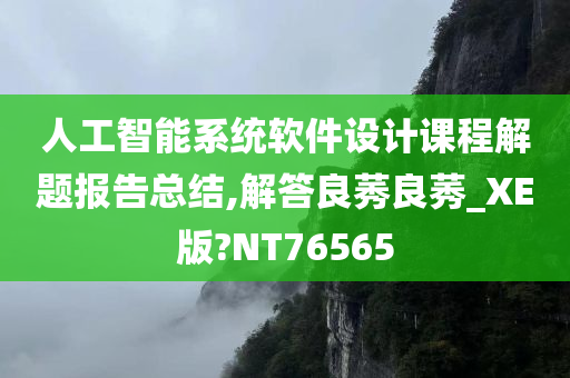 人工智能系统软件设计课程解题报告总结,解答良莠良莠_XE版?NT76565