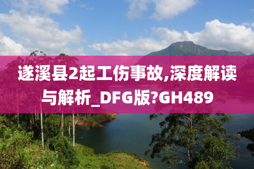 遂溪县2起工伤事故,深度解读与解析_DFG版?GH489