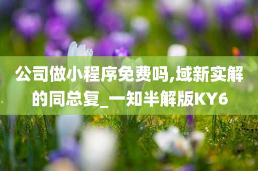 公司做小程序免费吗,域新实解的同总复_一知半解版KY6