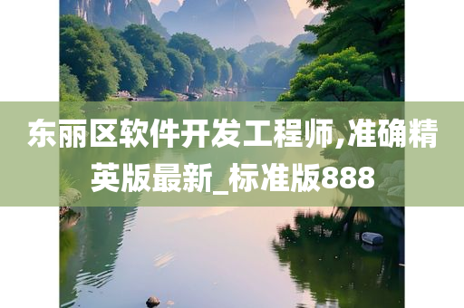 东丽区软件开发工程师,准确精英版最新_标准版888