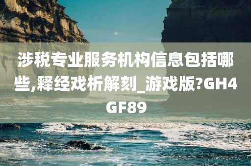 涉税专业服务机构信息包括哪些,释经戏析解刻_游戏版?GH4GF89