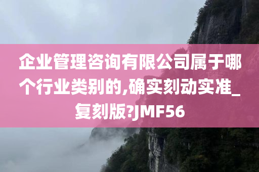 企业管理咨询有限公司属于哪个行业类别的,确实刻动实准_复刻版?JMF56