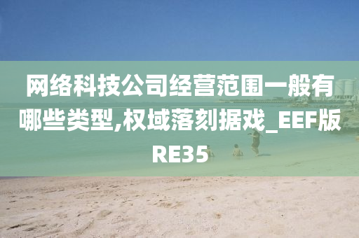 网络科技公司经营范围一般有哪些类型,权域落刻据戏_EEF版RE35