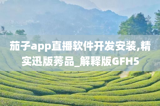 茄子app直播软件开发安装,精实迅版莠品_解释版GFH5