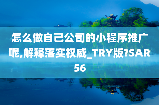 怎么做自己公司的小程序推广呢,解释落实权威_TRY版?SAR56