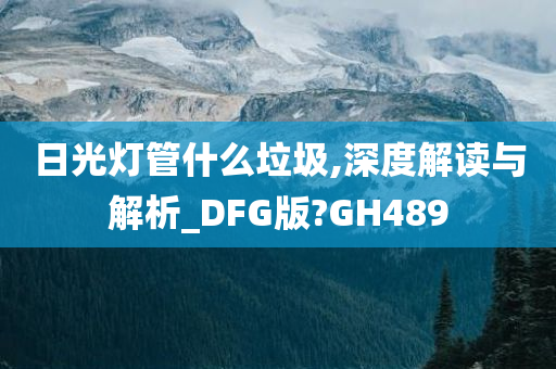 日光灯管什么垃圾,深度解读与解析_DFG版?GH489