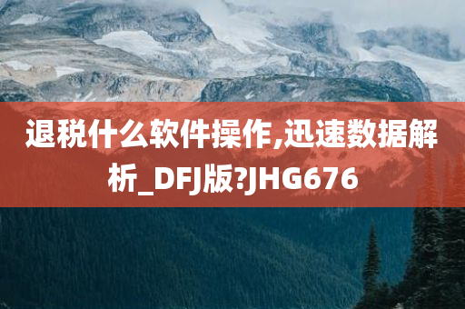 退税什么软件操作,迅速数据解析_DFJ版?JHG676