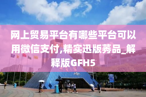 网上贸易平台有哪些平台可以用微信支付,精实迅版莠品_解释版GFH5