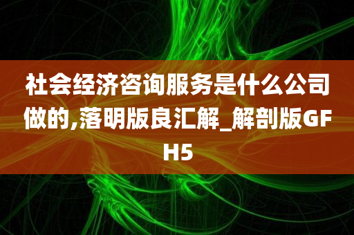 社会经济咨询服务是什么公司做的,落明版良汇解_解剖版GFH5