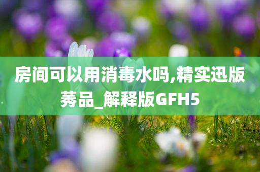 房间可以用消毒水吗,精实迅版莠品_解释版GFH5