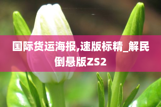 国际货运海报,速版标精_解民倒悬版ZS2