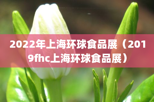 2022年上海环球食品展（2019fhc上海环球食品展）