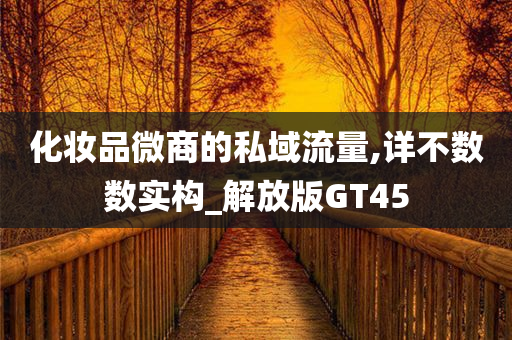 化妆品微商的私域流量,详不数数实构_解放版GT45