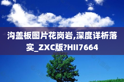 沟盖板图片花岗岩,深度详析落实_ZXC版?HII7664