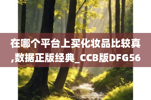 在哪个平台上买化妆品比较真,数据正版经典_CCB版DFG56