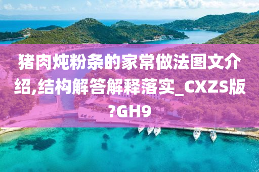 猪肉炖粉条的家常做法图文介绍,结构解答解释落实_CXZS版?GH9