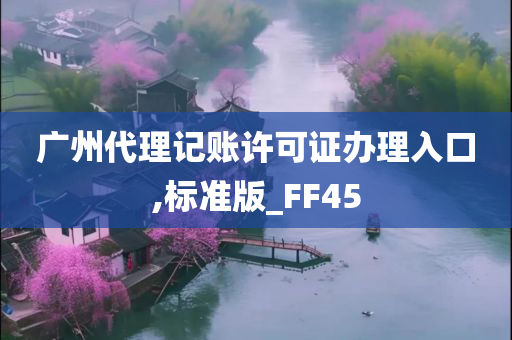 广州代理记账许可证办理入口,标准版_FF45