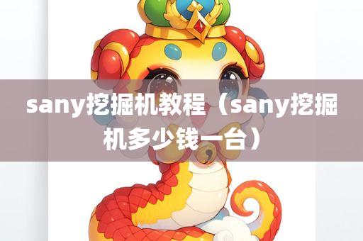 sany挖掘机教程（sany挖掘机多少钱一台）