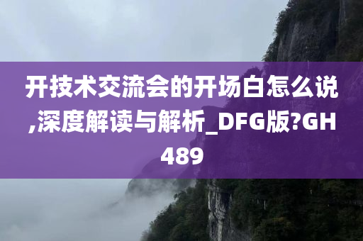 开技术交流会的开场白怎么说,深度解读与解析_DFG版?GH489