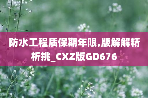 防水工程质保期年限,版解解精析挑_CXZ版GD676