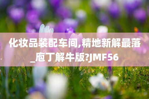 化妆品装配车间,精地新解最落_庖丁解牛版?JMF56