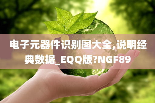 电子元器件识别图大全,说明经典数据_EQQ版?NGF89