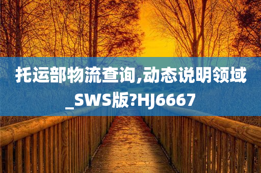 托运部物流查询,动态说明领域_SWS版?HJ6667