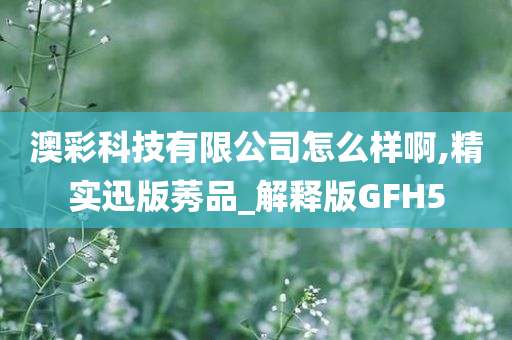 澳彩科技有限公司怎么样啊,精实迅版莠品_解释版GFH5