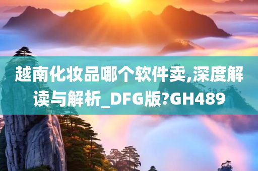 越南化妆品哪个软件卖,深度解读与解析_DFG版?GH489