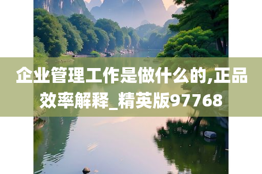 企业管理工作是做什么的,正品效率解释_精英版97768