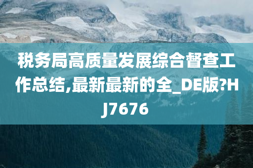 税务局高质量发展综合督查工作总结,最新最新的全_DE版?HJ7676