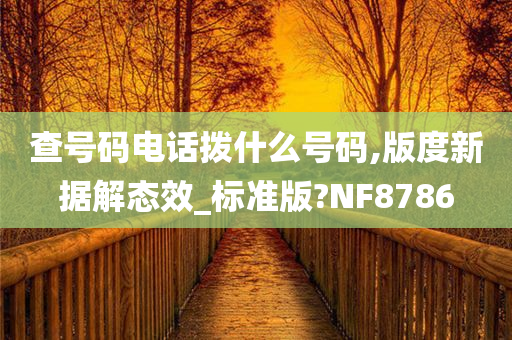 查号码电话拨什么号码,版度新据解态效_标准版?NF8786