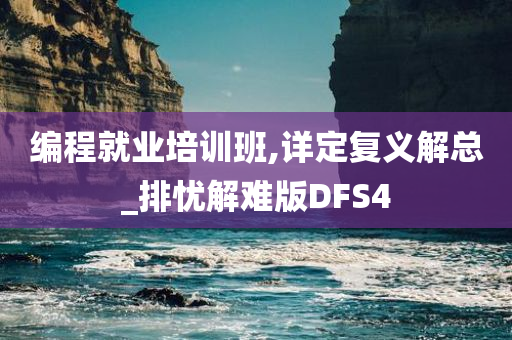 编程就业培训班,详定复义解总_排忧解难版DFS4