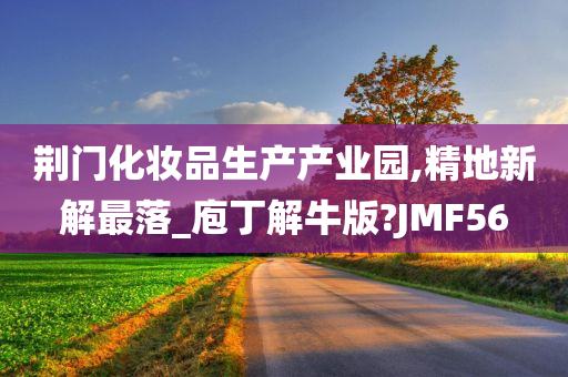 荆门化妆品生产产业园,精地新解最落_庖丁解牛版?JMF56