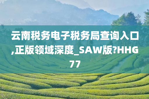 云南税务电子税务局查询入口,正版领域深度_SAW版?HHG77