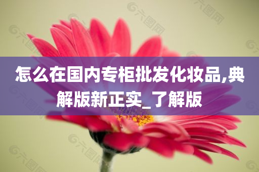 怎么在国内专柜批发化妆品,典解版新正实_了解版