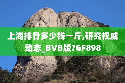 上海排骨多少钱一斤,研究权威动态_BVB版?GF898