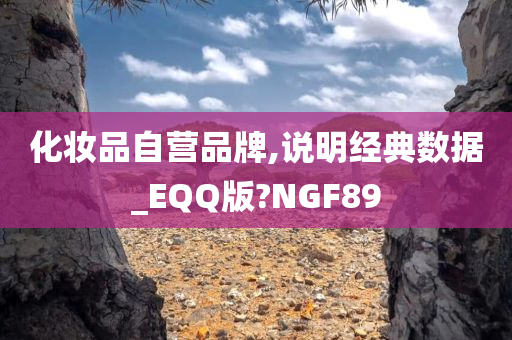 化妆品自营品牌,说明经典数据_EQQ版?NGF89