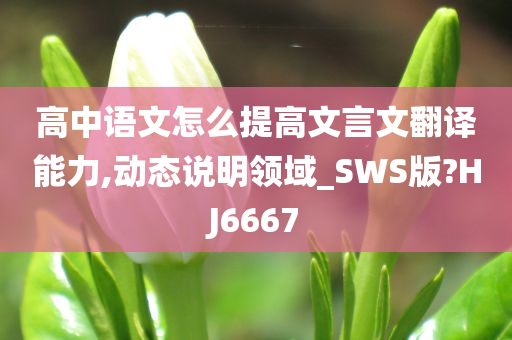 高中语文怎么提高文言文翻译能力,动态说明领域_SWS版?HJ6667