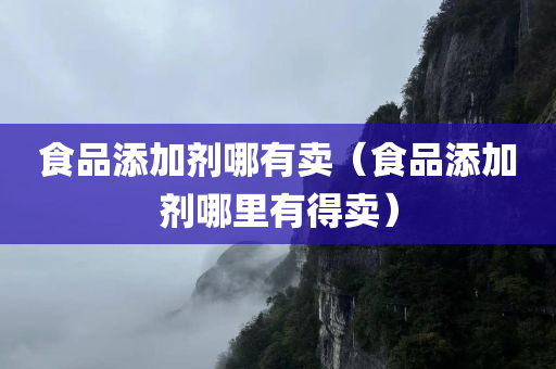 食品添加剂哪有卖（食品添加剂哪里有得卖）