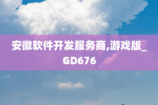 安徽软件开发服务商,游戏版_GD676