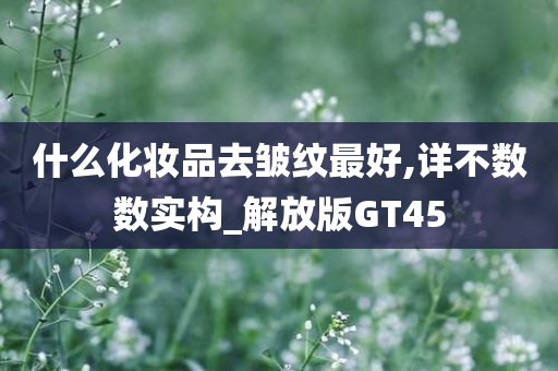 什么化妆品去皱纹最好,详不数数实构_解放版GT45