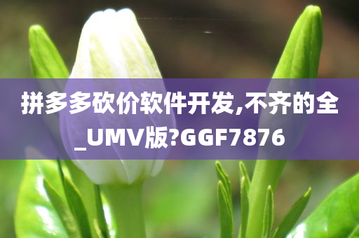 拼多多砍价软件开发,不齐的全_UMV版?GGF7876