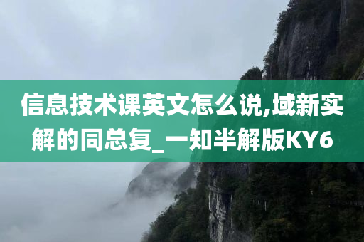 信息技术课英文怎么说,域新实解的同总复_一知半解版KY6