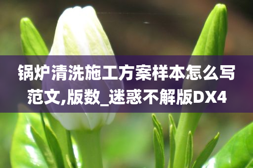 锅炉清洗施工方案样本怎么写范文,版数_迷惑不解版DX4