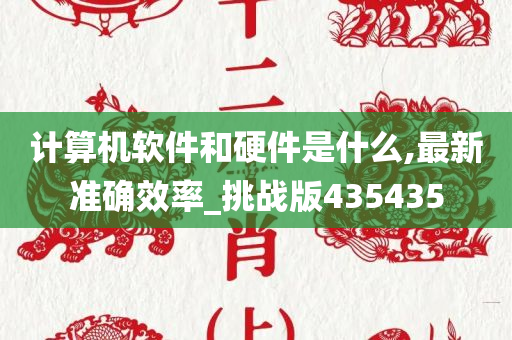 计算机软件和硬件是什么,最新准确效率_挑战版435435