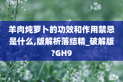 羊肉炖萝卜的功效和作用禁忌是什么,版解析落结精_破解版?GH9