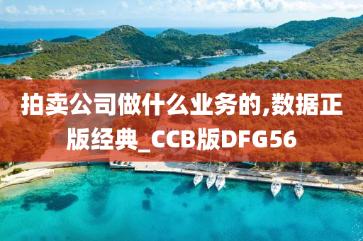 拍卖公司做什么业务的,数据正版经典_CCB版DFG56