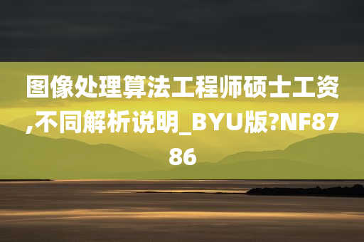 图像处理算法工程师硕士工资,不同解析说明_BYU版?NF8786