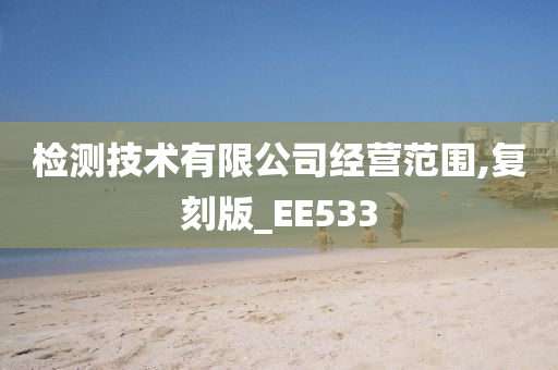 检测技术有限公司经营范围,复刻版_EE533